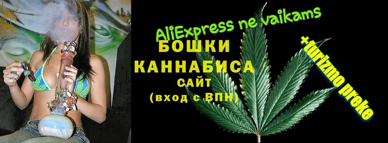 Шишки марихуана SATIVA & INDICA  купить наркотики цена  ссылка на мегу ТОР  Алушта 